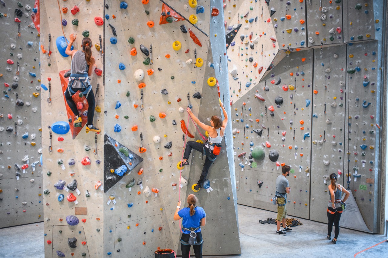 Climbing wall builders| Commercial fit out | Oakwhite