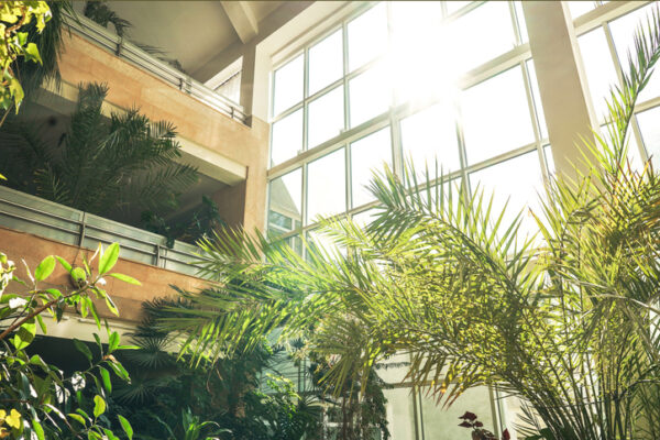 Biophilic design – giving a workplace the green light